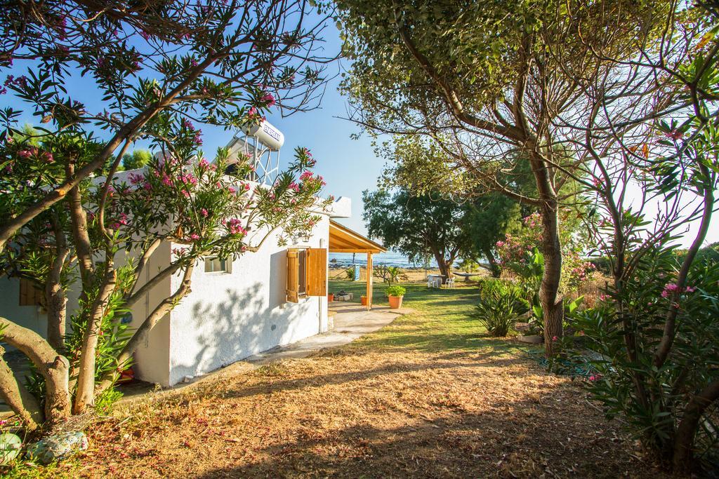 Mera Beachfront House - Фаласарна Екстериор снимка